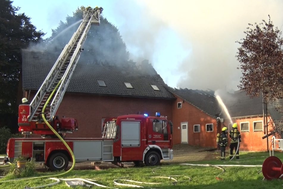 In Papenburg sind am Sonntagmorgen ein Stall und ein Wohnhaus in Brand geraten. Zahlreiche Tiere starben, die Bewohner blieben unverletzt.