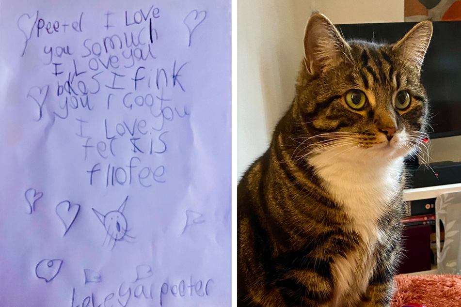 Peter the cat got one adorable love note from the boy next door.