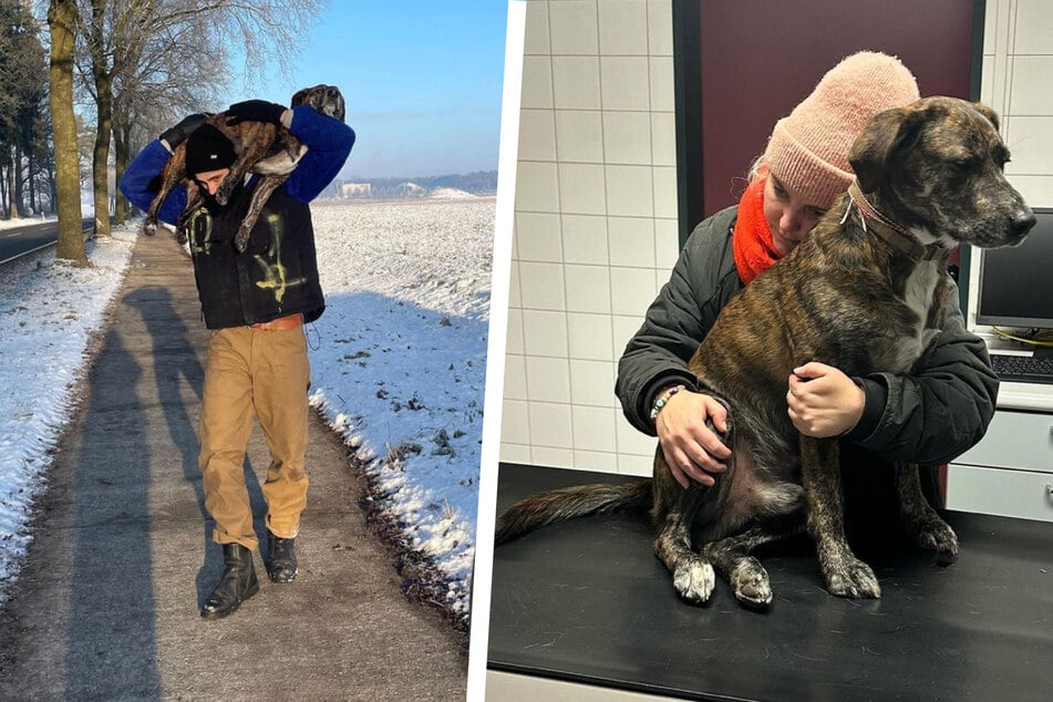 Fynn Kliemann: Fynn Kliemanns Hund verletzt sich schwer, Fans reagieren mit verrücktem Vergleich