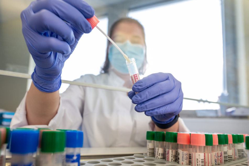 PCR-Tests in einem Dresdner Testlabor. Die Inzidenz in der Landeshauptstadt sank im Vergleich zum Vortag