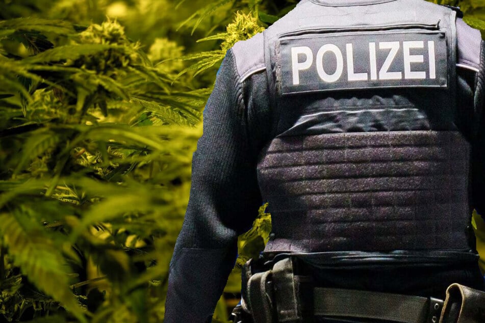 Die Polizei hatte am Mittwoch zeitgleich mehrere Gebäude durchsucht und war dabei auf mehrere Kilo Cannabisblüten und dazu passendes Equipment gestoßen. (Symbolbild)