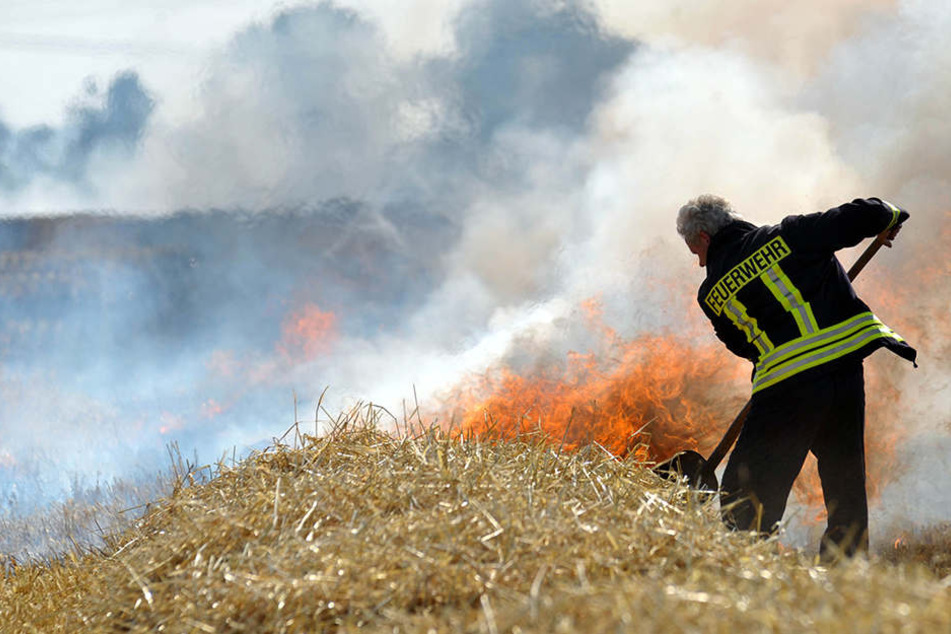 Bei Erntearbeiten ist ein Feld im Ilm-Kreis in Brand geraten. (Archivbild)