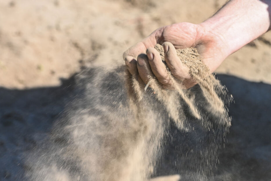Und hier soll etwas wachsen? Die trockene Erde rinnt Bio-Bauer Domanja wie Sand durch die Finger.