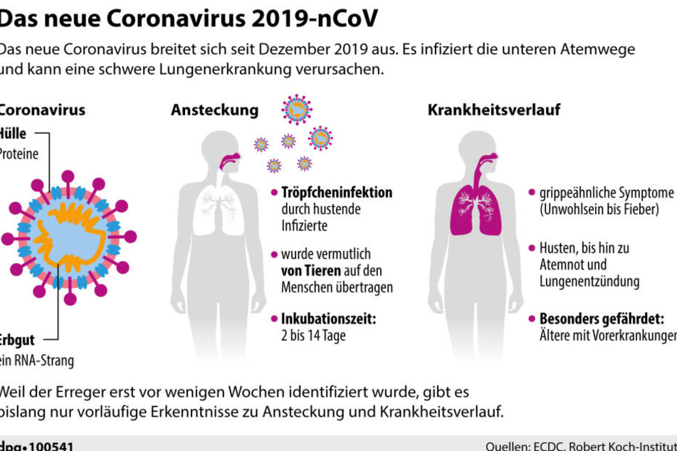 Das neue Coronavirus 2019-nCoV.