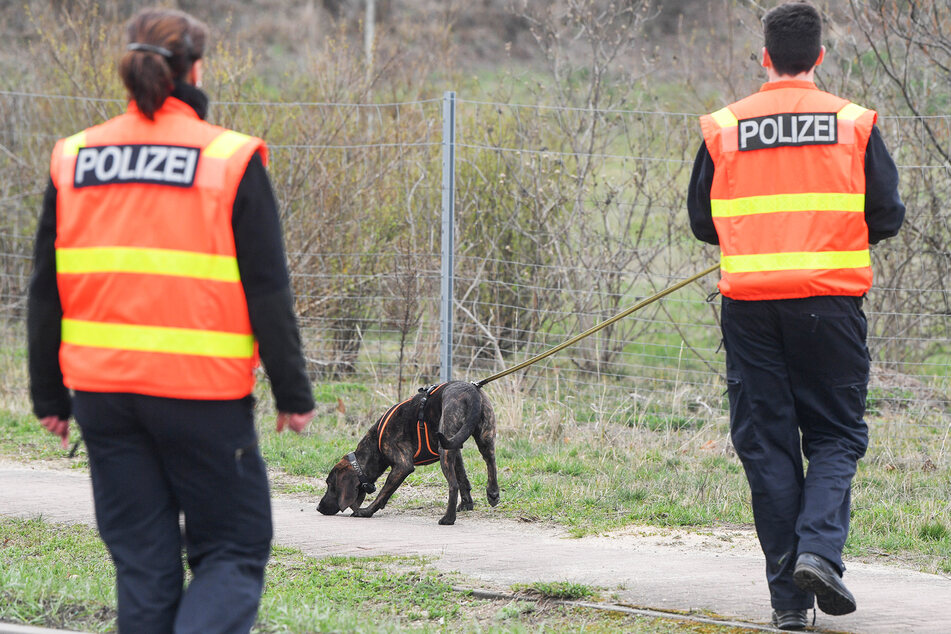 Zwei Polizisten sind mit einem Fährtenspürhund im Einsatz. (Symbolbild)