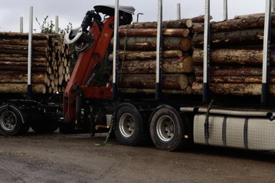 "Enorme Masse": Polizei zieht diese hemmungslos überladenen Holztransporte aus dem Verkehr