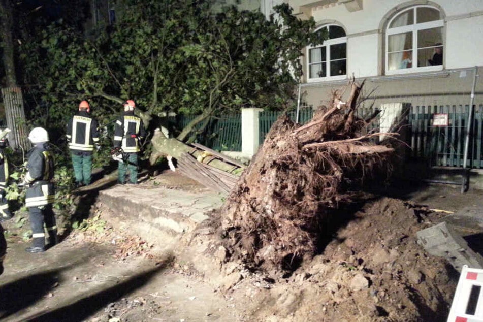 Auch in Pirna hatten die Einsatzkräfte voll zu tun.