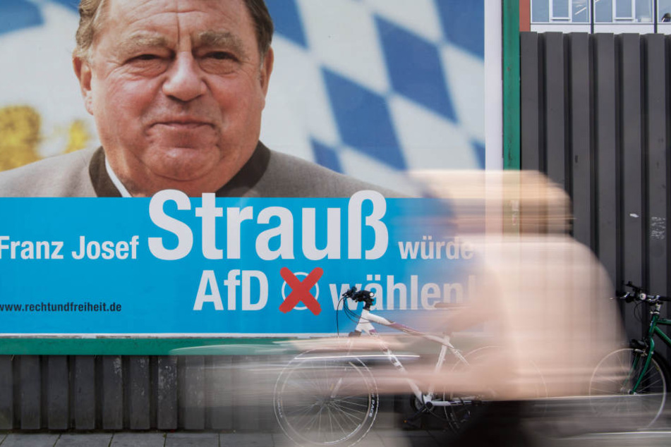 Dieses Plakat gefällt der Familie Strauß gar nicht.