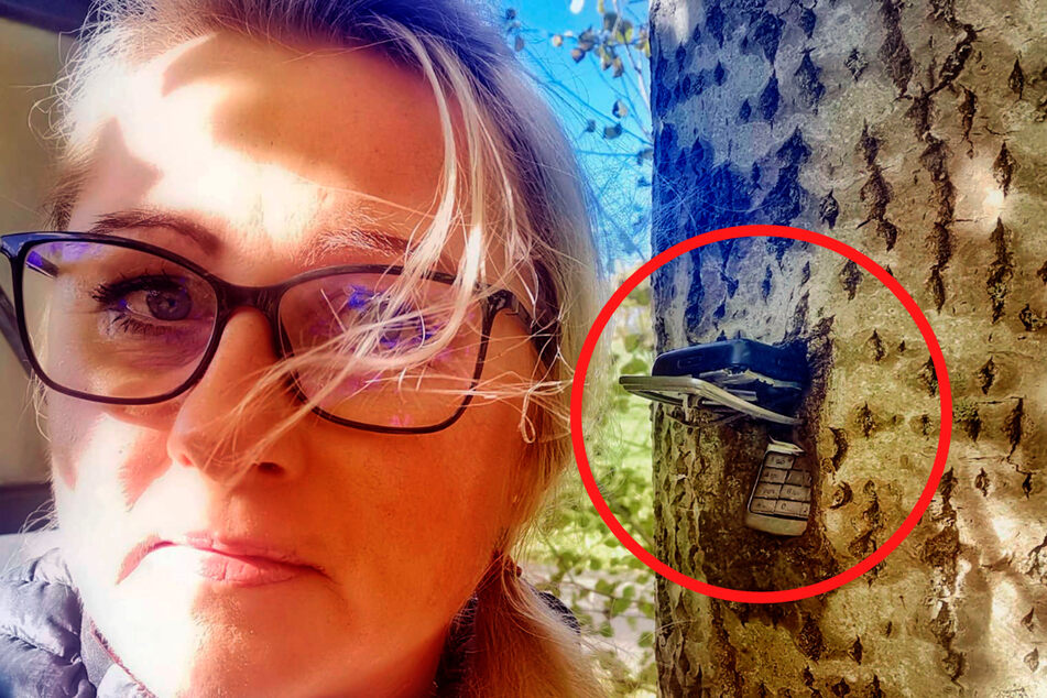 Verrückte Entdeckung im Erzgebirge: Baum verschlingt Handy