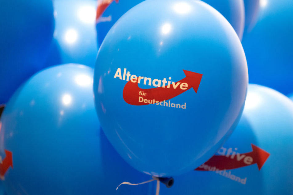 Knapp drei Monate vor der Landtagswahl in Brandenburg kann die AfD in der Wählergunst stark zulegen.