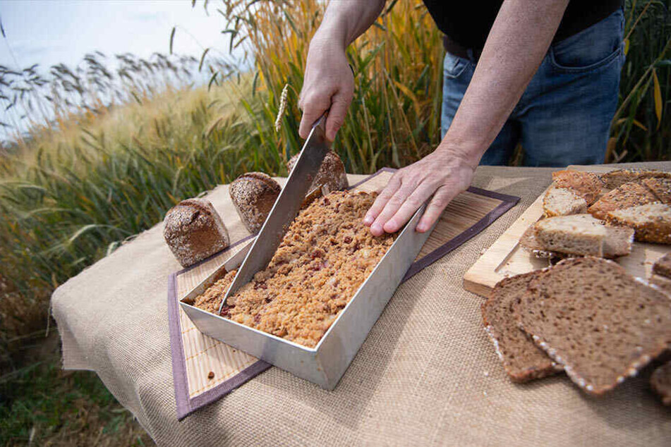Was hier geerntet wird, landet zu einem Gutteil als Brot auf unseren Tischen.