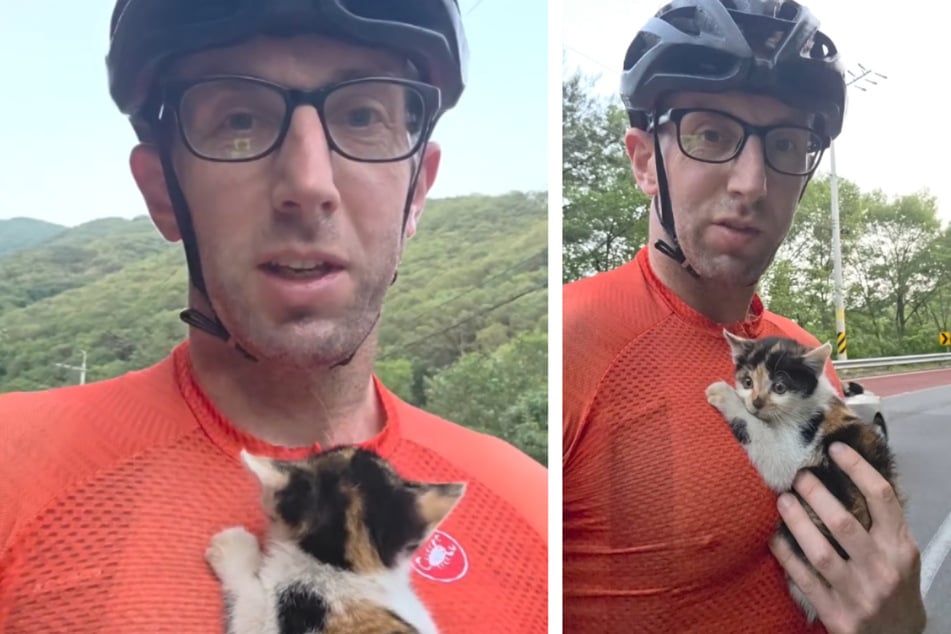 Radfahrer sieht zitterndes Kätzchen am Straßenrand, dann trifft er eine Entscheidung