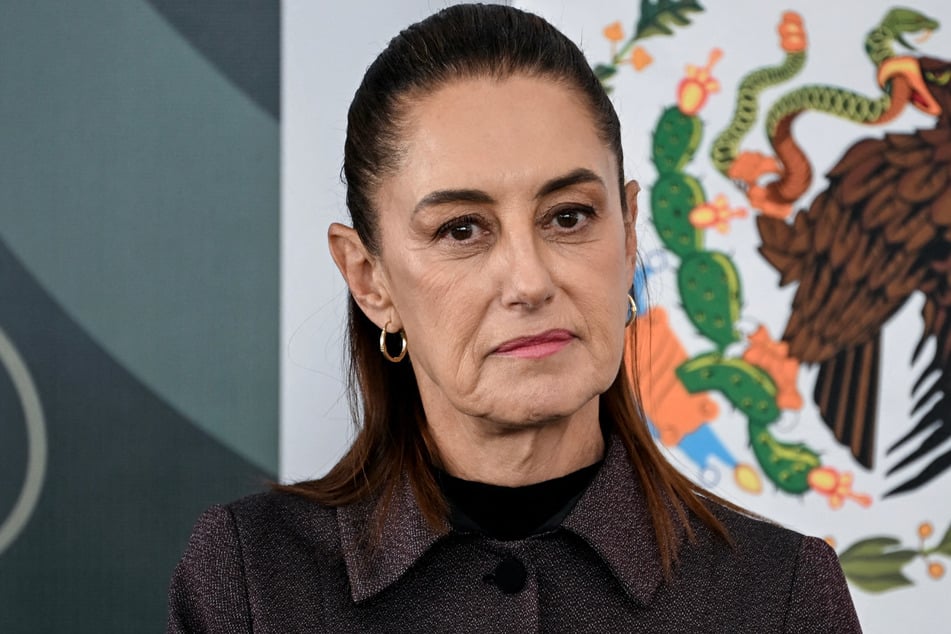 Mexican President Claudia Sheinbaum urged respect for "human rights" after her government confirmed 13 Mexicans have died in ICE raids or custody.