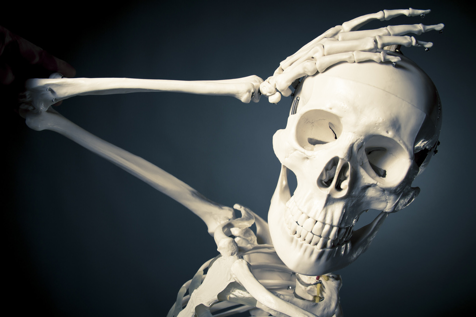 Anstatt der Hessenschau bekamen die Zuschauer lediglich ein Standbild eines Skelett-Schädels zu sehen. (Symbolfoto)