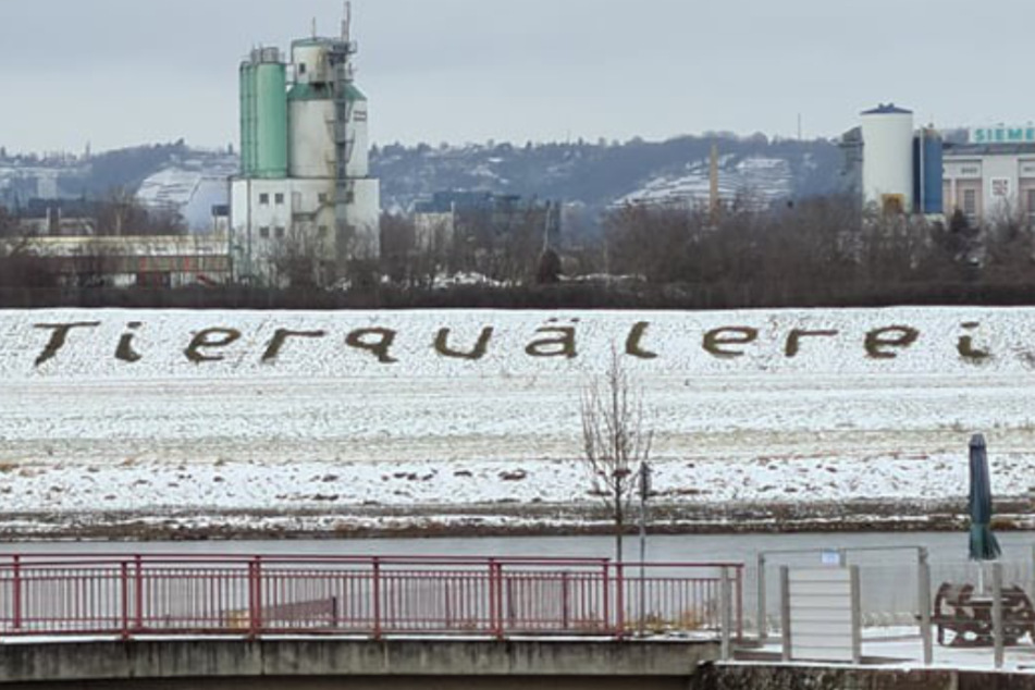 "Tierquälerei", lautet der Vorwurf.