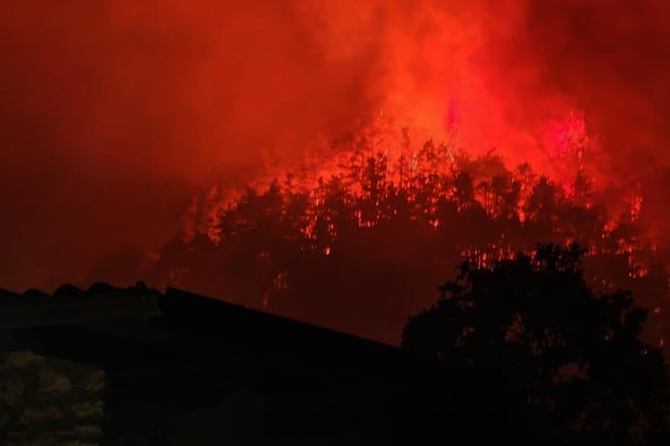 Alarmstufe Rot am Gardasee! Touristen müssen wegen massivem Waldbrand evakuiert werden