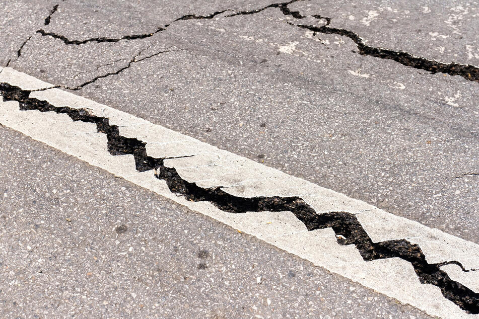 Auch Risse in Straßen können durch die kleinen Quälgeister hervorgerufen werden. (Symbolfoto)