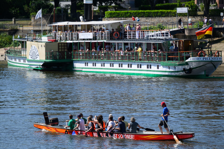 Drachenboote sind am Samstag wieder auf der Elbe zu sehen.