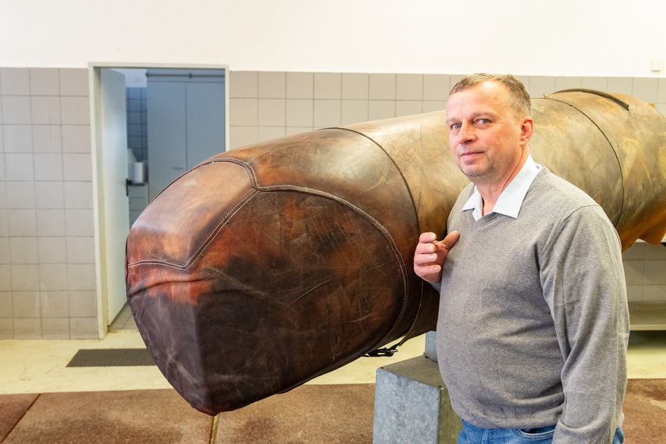 Damit die Entnahme der Samen-Proben reibungslos klappt, trainiert Falk Schütze (55) vorher mit den Hengsten das Aufspringen auf den Bock.