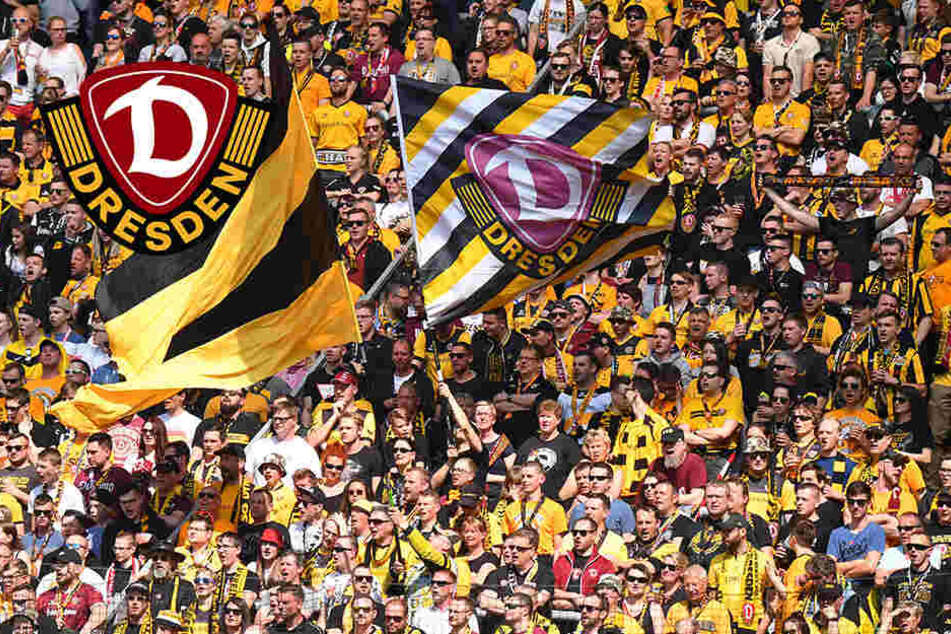 Dynamo Spiel Dynamo Spiel