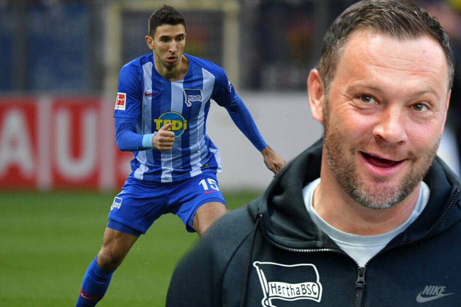 Pal Dardai muss unter anderem auf Marko Grujic verzichten.