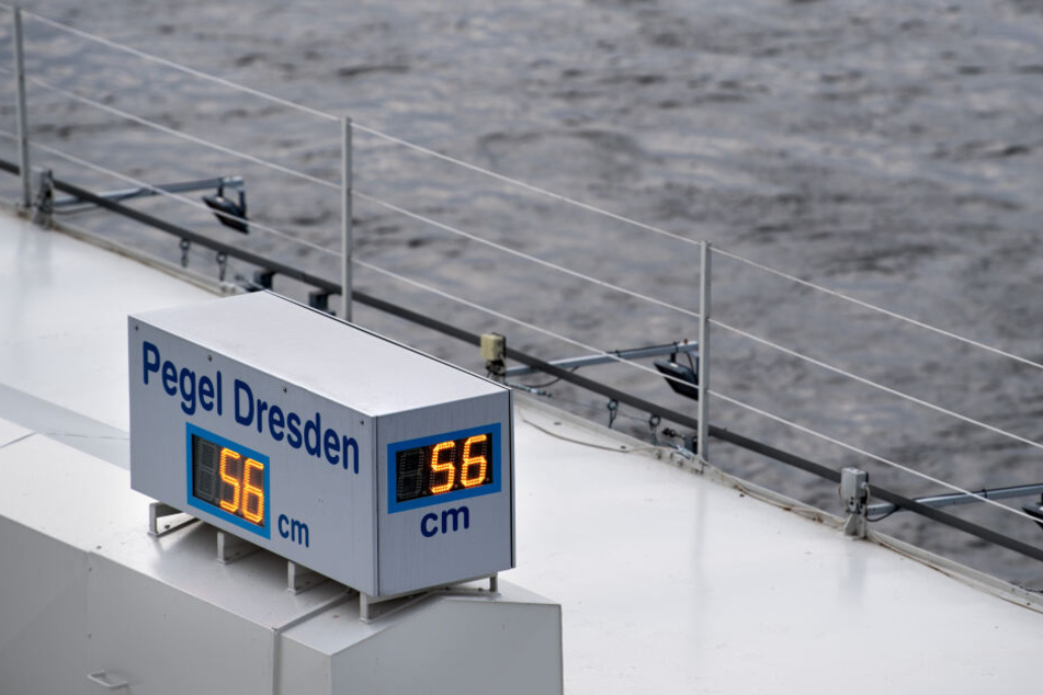 Der Pegel der Elbe in Dresden sank unaufhörlich, machte auch der Schifffahrt zu schaffen.