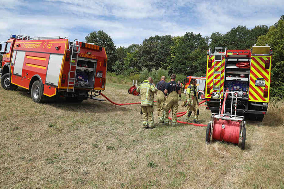 Kameraden löschten ein Feuer in einen Waldstück am Zschonergrund neben einer Grillstelle.