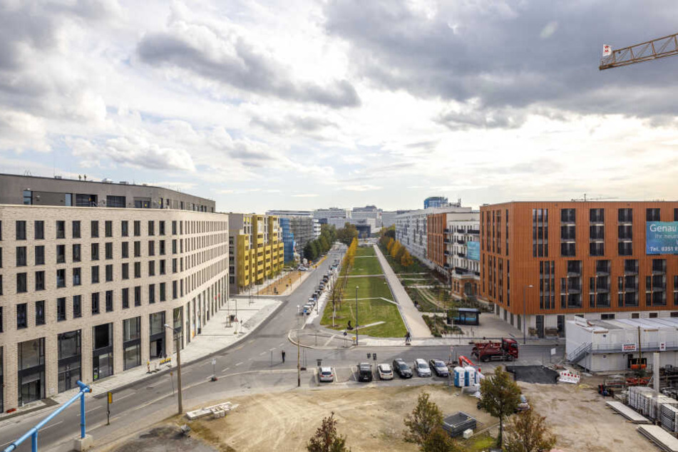 Viel zu viele Flächen in Dresden werden versiegelt, es fehlt am Bäumen - sagt der aktuelle Umweltbericht der Stadt.
