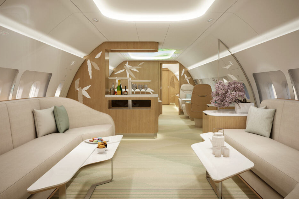 Das Unternehmen Ameco will mehr Natur in die Flugzeugkabine bringen.