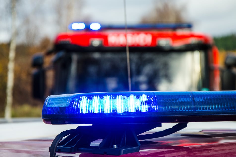 Die Feuerwehr brachte das verunglückte Tier wohlbehalten zurück ans Ufer. (Symbolbild)