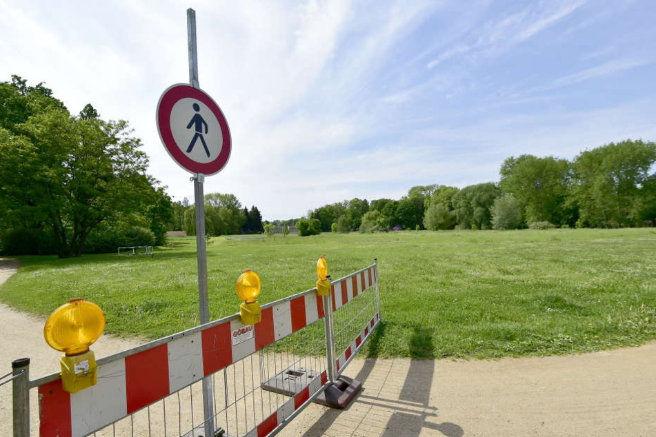 In Zwickau gibt es über 3000 Hundebesitzer, aber nur sechs Hundewiesen. Die in Crossen ist in einem jämmerlichen Zustand.