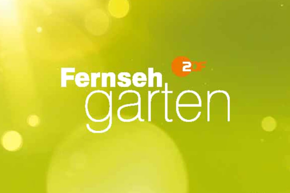 Die Unterhaltungsshow "ZDF-Fernsehgarten" wird in den Sommermonaten immer sonntags ab der Mittagszeit live gesendet.