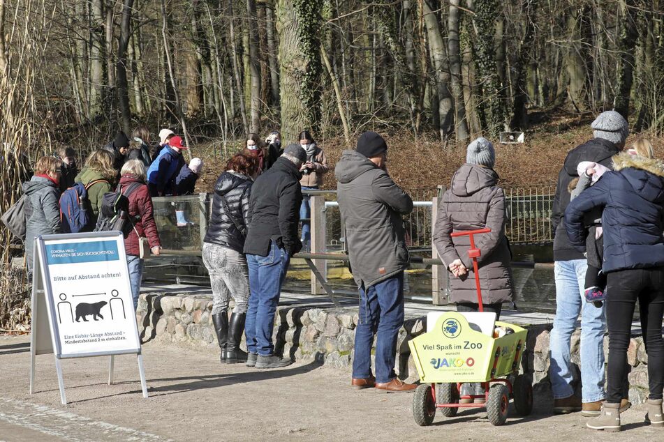 Der Zoo in Rostock schließt aufgrund der 2G-plus-Regel seine Tore. (Archivbild)