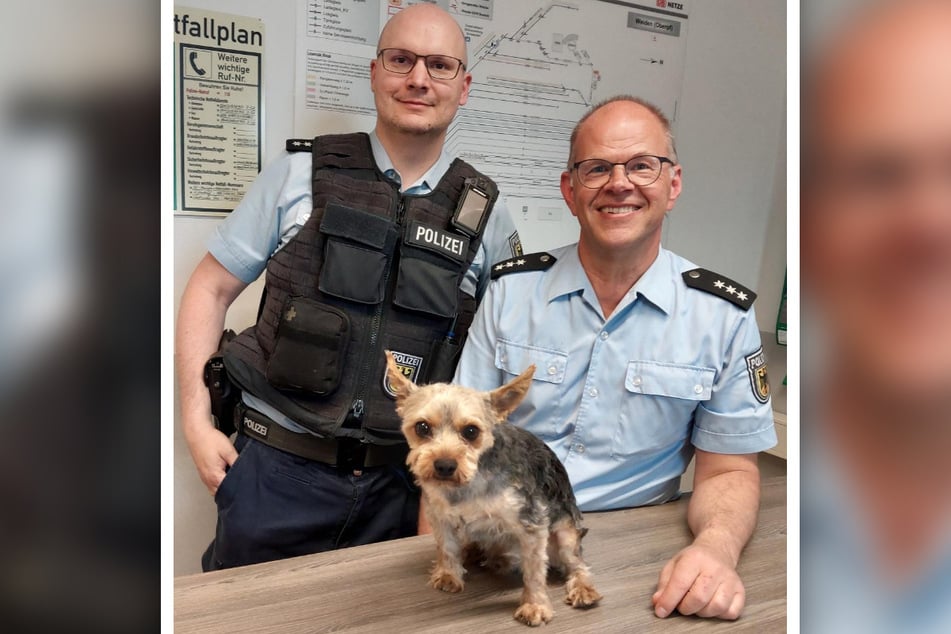 Die Beamten reagierten glücklicherweise blitzschnell - und konnten sogar für ein Happy End sorgen.