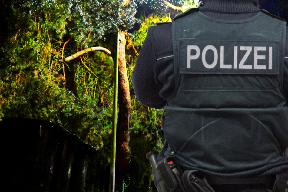 Die Polizei war schnell vor Ort und beendete die Party (Symbolbild).