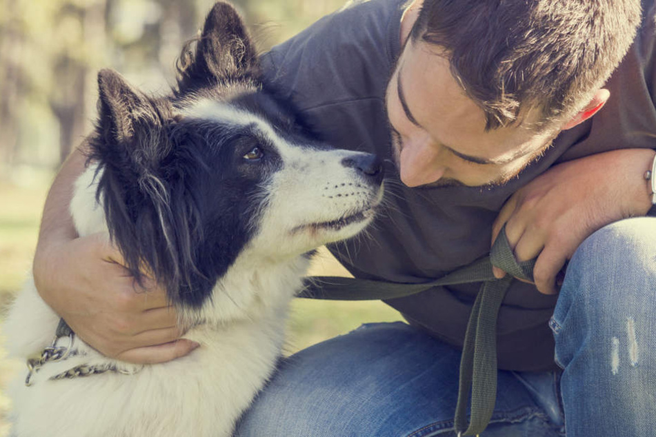 Beim Dogs Day gibt es was für Vier- und Zweibeiner.