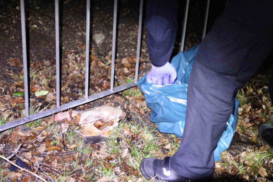 Die Tierrettung der Feuerwehr sammelte den Schweinekopf ein.