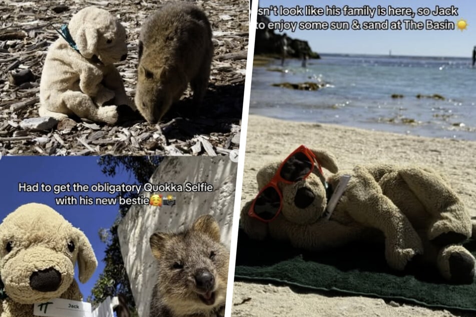 Bei seinem ersten richtigen "Urlaub" seit seiner Anstellung im Hotel hat "Jack" gleich mal eine tierische Freundschaft geschlossen - mit einem Quokka!