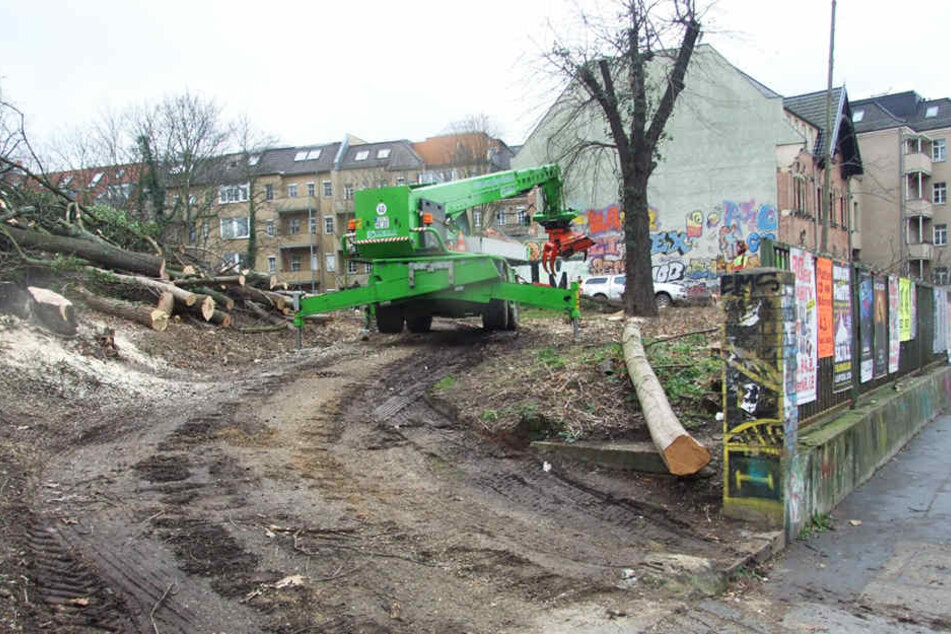 Schon seit Tagen sind die Arbeiter dabei, die Grünfläche brach zu legen.