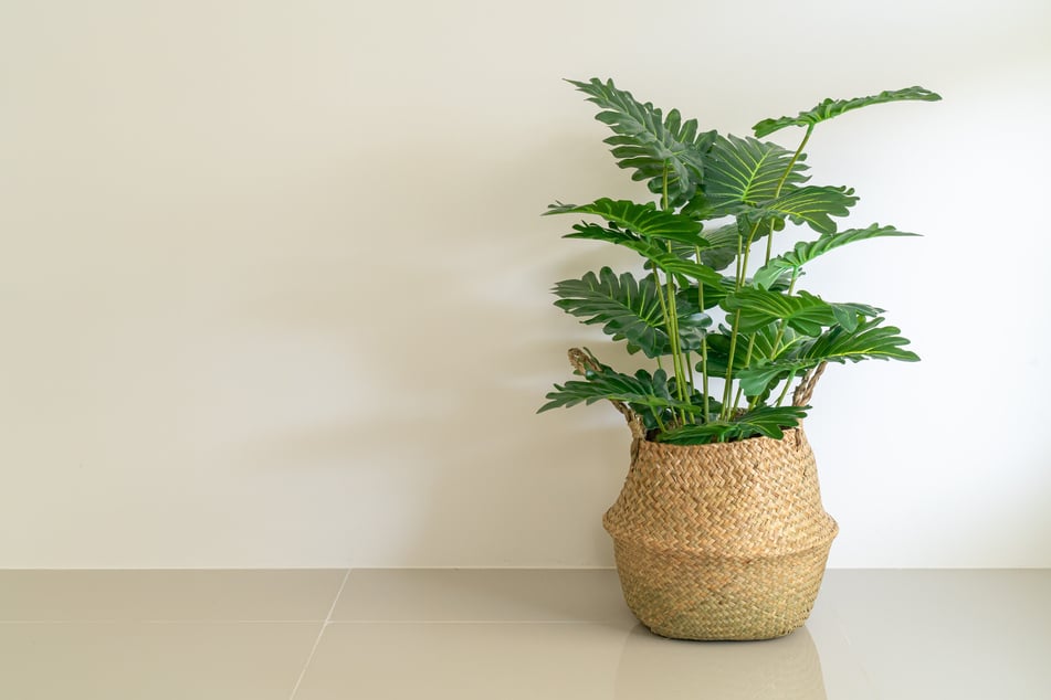 Aufbewahrungskisten könne zu Übertöpfen für Zimmerpflanzen umfunktioniert werden.