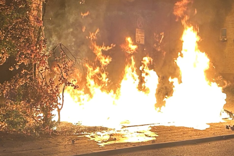 Feuer im Asternweg in Kaiserslautern: Zwei Mülltonnen brannten lichterloh, die Flammen griffen auf einen Baum über!