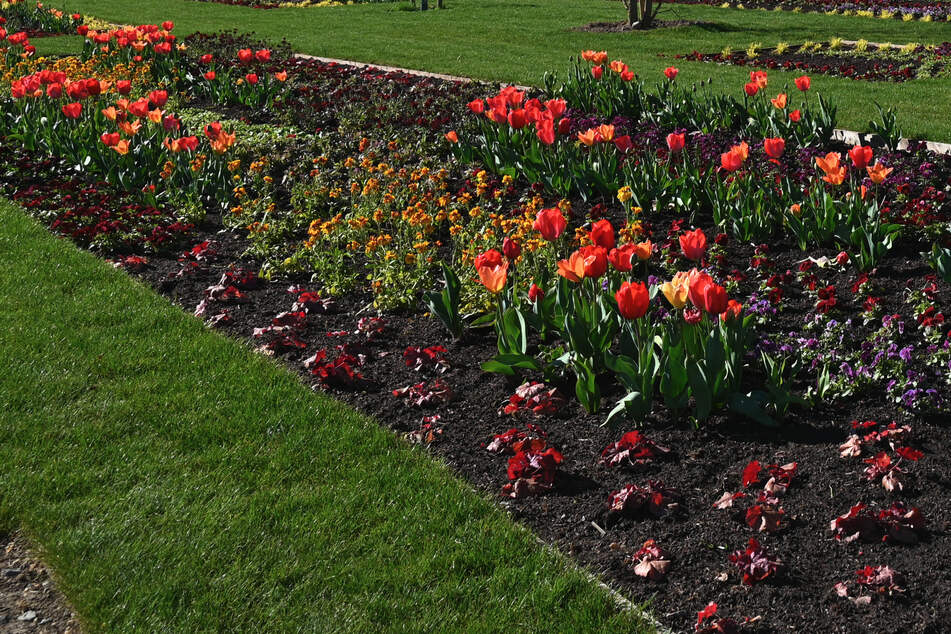 Startschuss gefallen: Landesgartenschau in Neuss lockt erste Besucher
