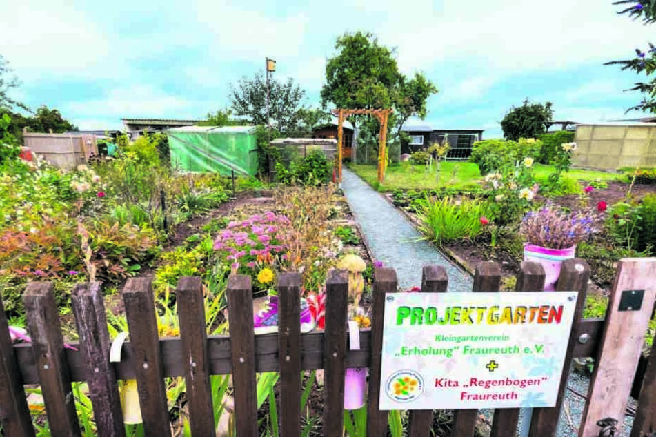 Der Kleingartenverein "Erholung" stellte den Kindern einen Projektgarten zur Verfügung.