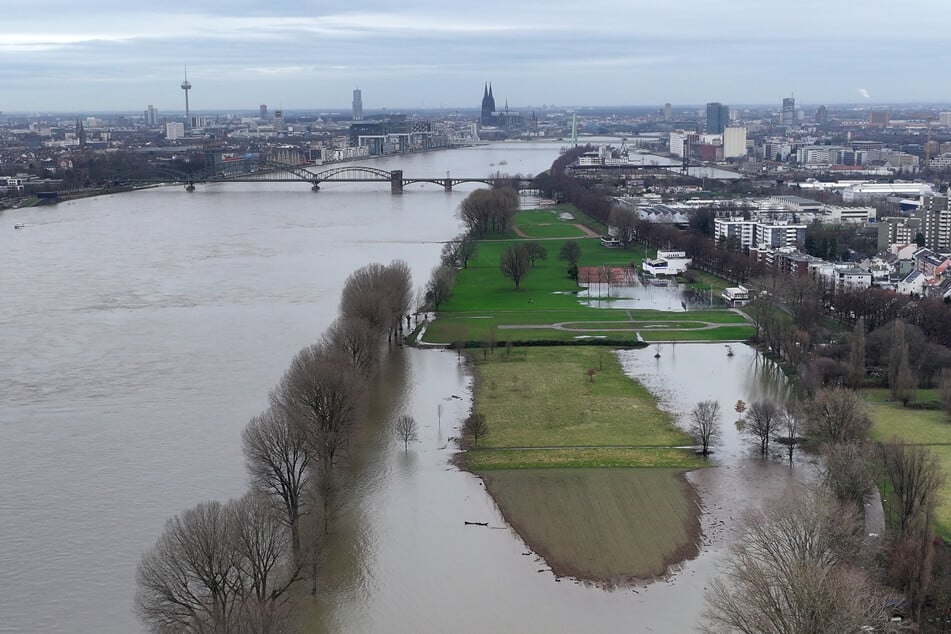 Die Poller Wiesen sind derzeit überflutet: Auf dem Rhein hat das Hochwasser seine Höchststände inzwischen erreicht oder überschritten.