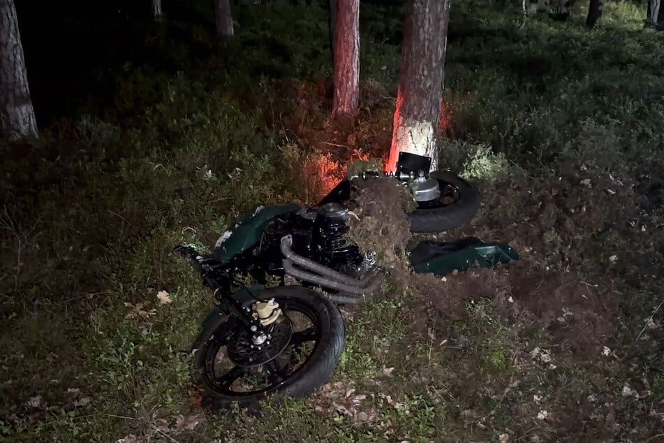 Der 29-jährige Motorradfahrer krachte gegen einen Baum.