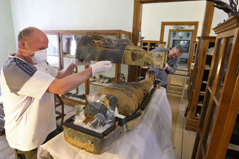Sammlungs-Techniker Mathias Merbitz (l.) und der Chef des Naturkundemuseums, Ronny Rößler verschließen den mit Luftpolstern ausgepolsterten Sarkophag.