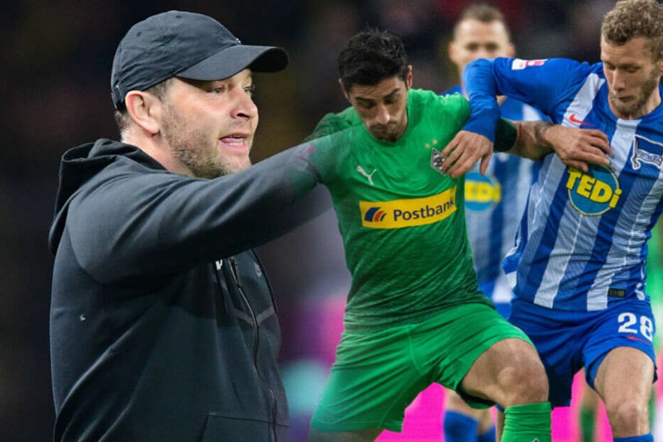 Pal Dardai muss wochenlang auf Fabian Lustenberger verzichten. (Bildmontage)