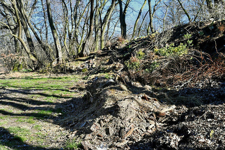 Auf diesem Müllplatz für Gartenabfälle hatte der Rentner seinen Hund lebendig vergraben.