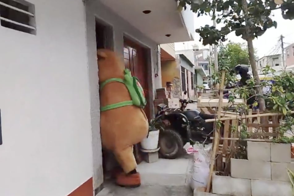 3 ... 2 ... 1 ... ¡Acceso! El policía Capybara se cuela por el marco de la puerta y se abalanza sobre el traficante.