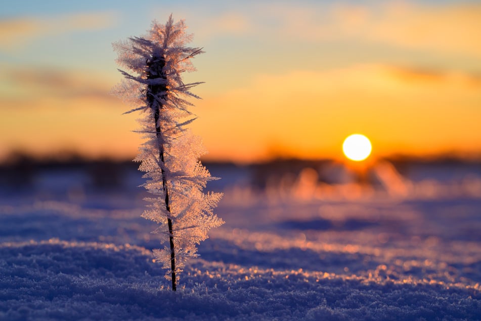 In der kommenden Woche erwartet NRW sonniges Winterwetter. (Symbolbild)